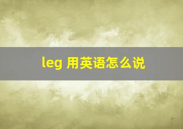 leg 用英语怎么说